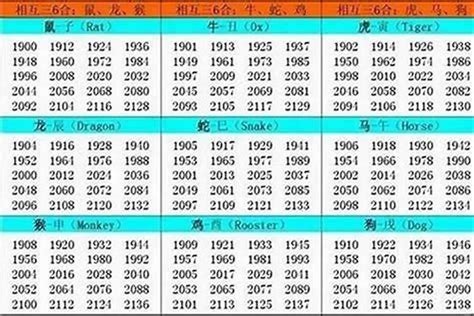 1996 屬|1996 年出生属什么生肖